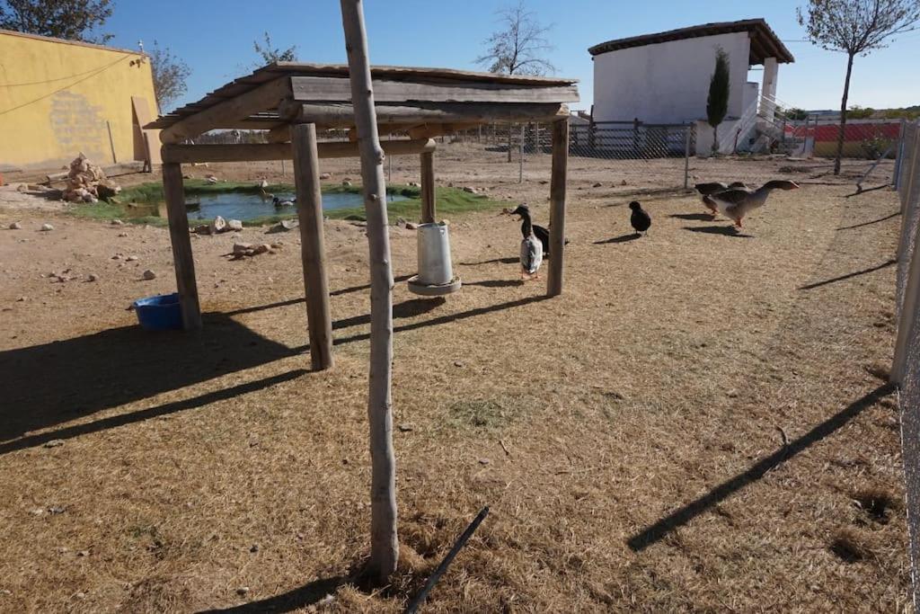 Finca La Caprichosa De Dancos Lillo 外观 照片